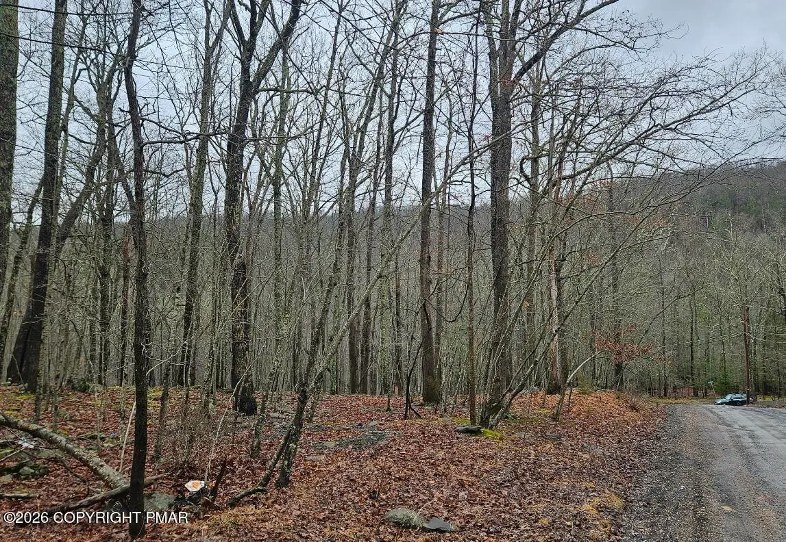 60 & 61 Gallahad Pass 60 - 61 Road, East Stroudsburg, PA 18302 - #1