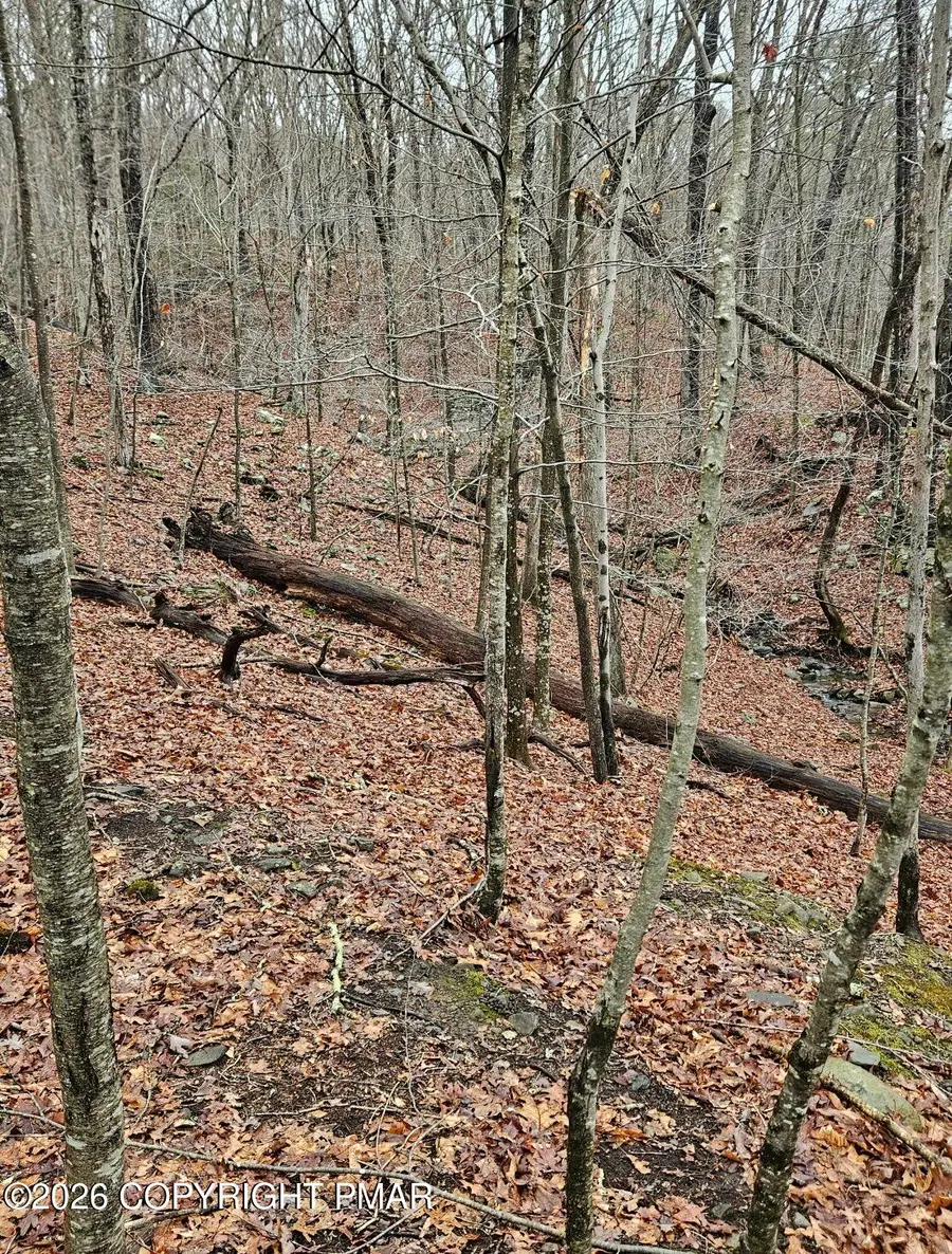 60 & 61 Gallahad Pass 60 - 61 Road, East Stroudsburg, PA 18302 - #3