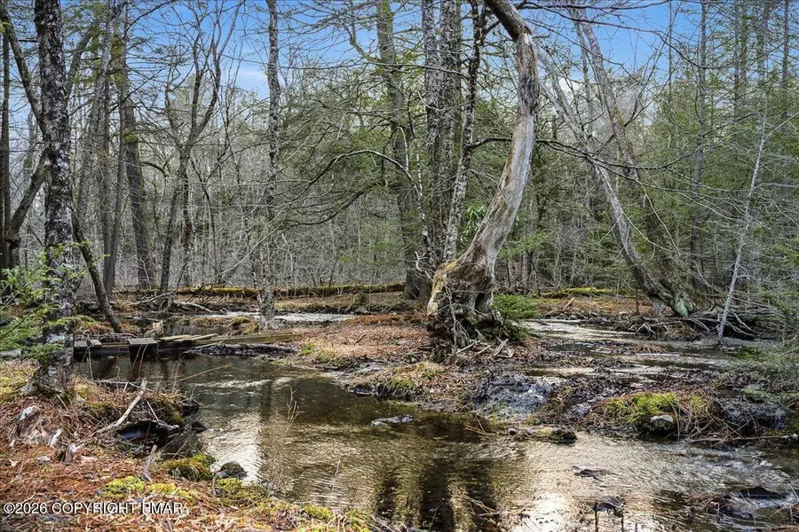 369 Sidney Avenue, Pocono Summit, PA 18346 - #3