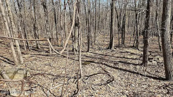 Eagle Pass 711, Swiftwater, PA 18370