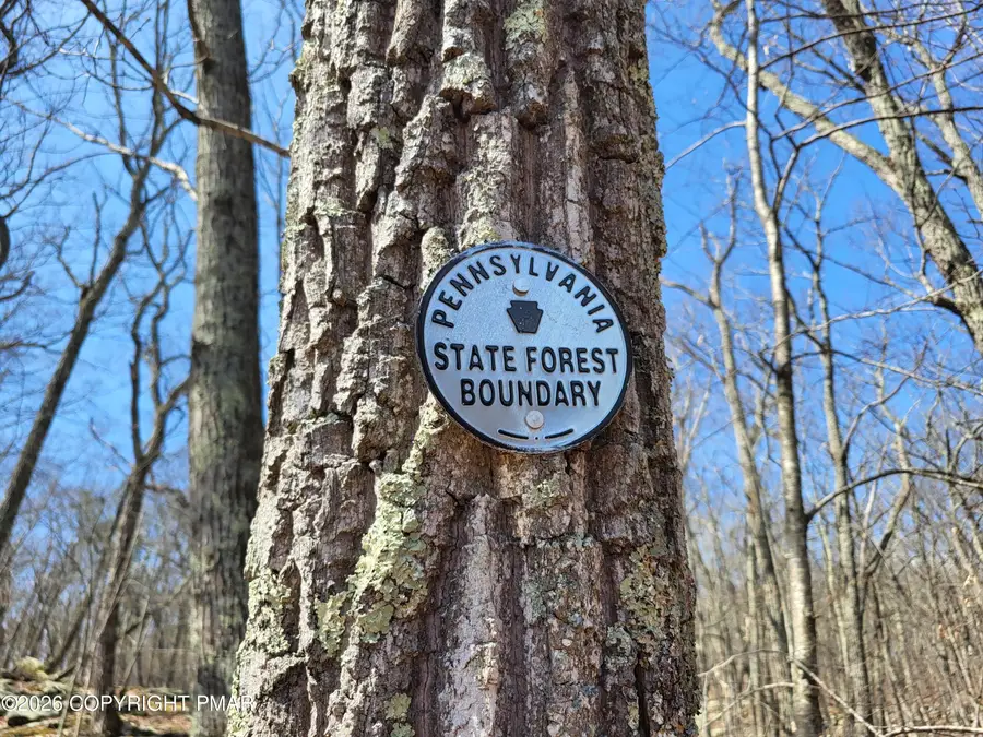 155 Clifton Drive, Bushkill, PA 18324 - #3