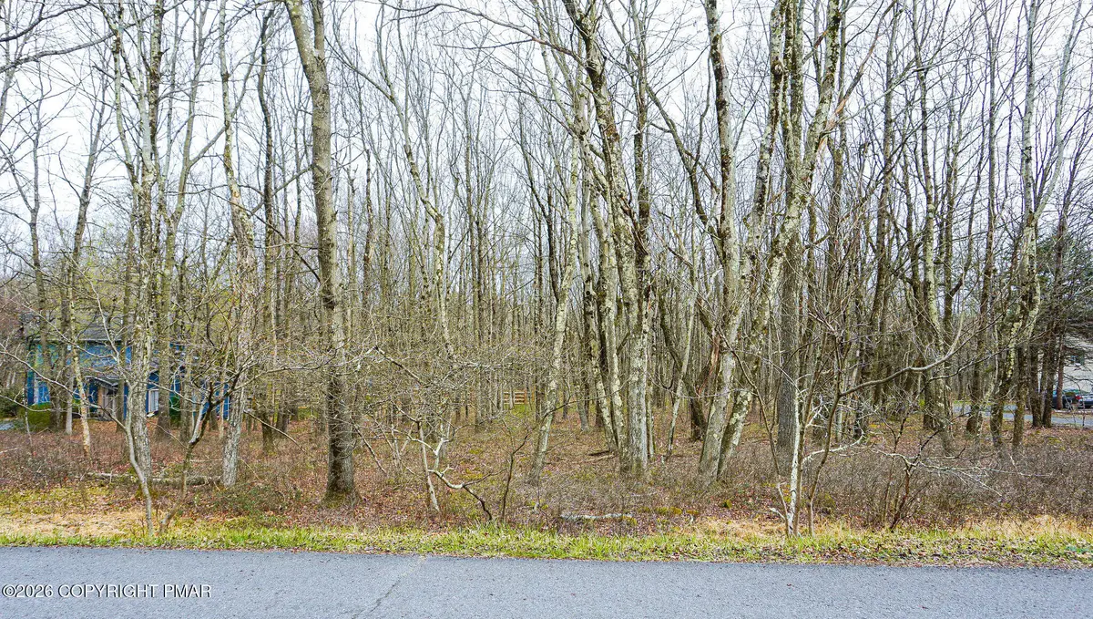 Mountain View View, Jim Thorpe, PA 18229 - #1