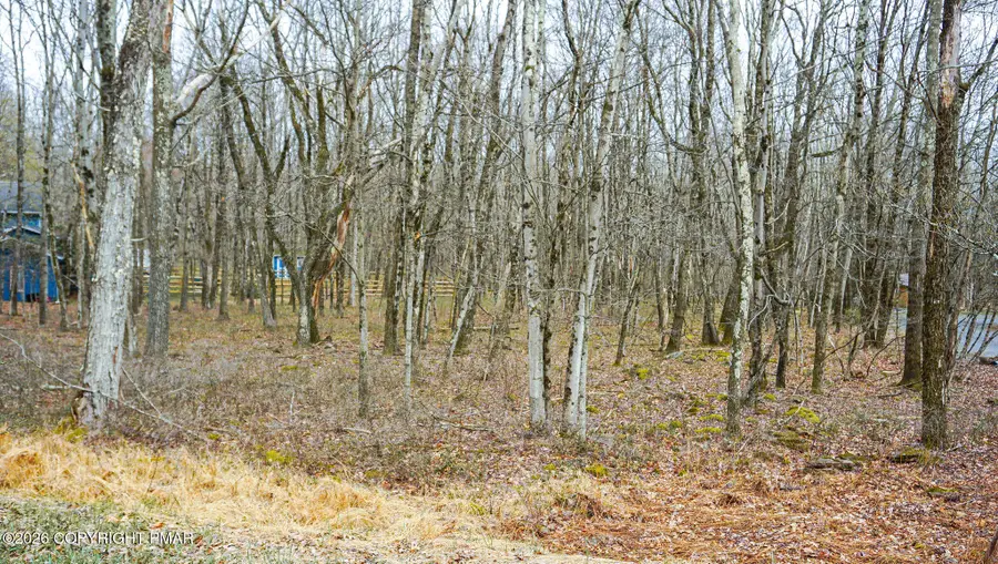 Mountain View View, Jim Thorpe, PA 18229 - #3