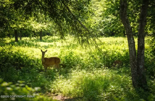 Wintergreen Trail, Albrightsville, PA 18210