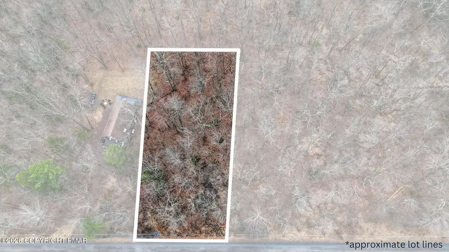 Lot 1011 Beaver Run Road, Pocono Lake, PA 18347 - #3