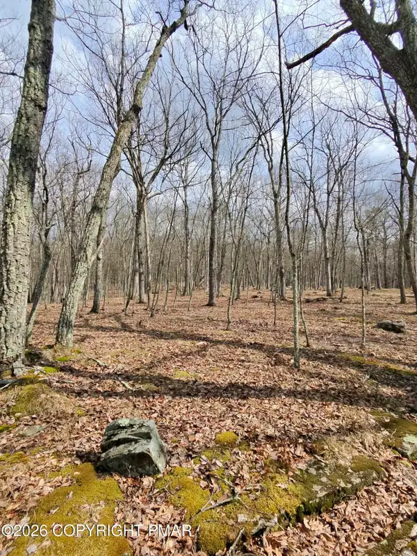 Ledge View Drive, Hawley, PA 18428