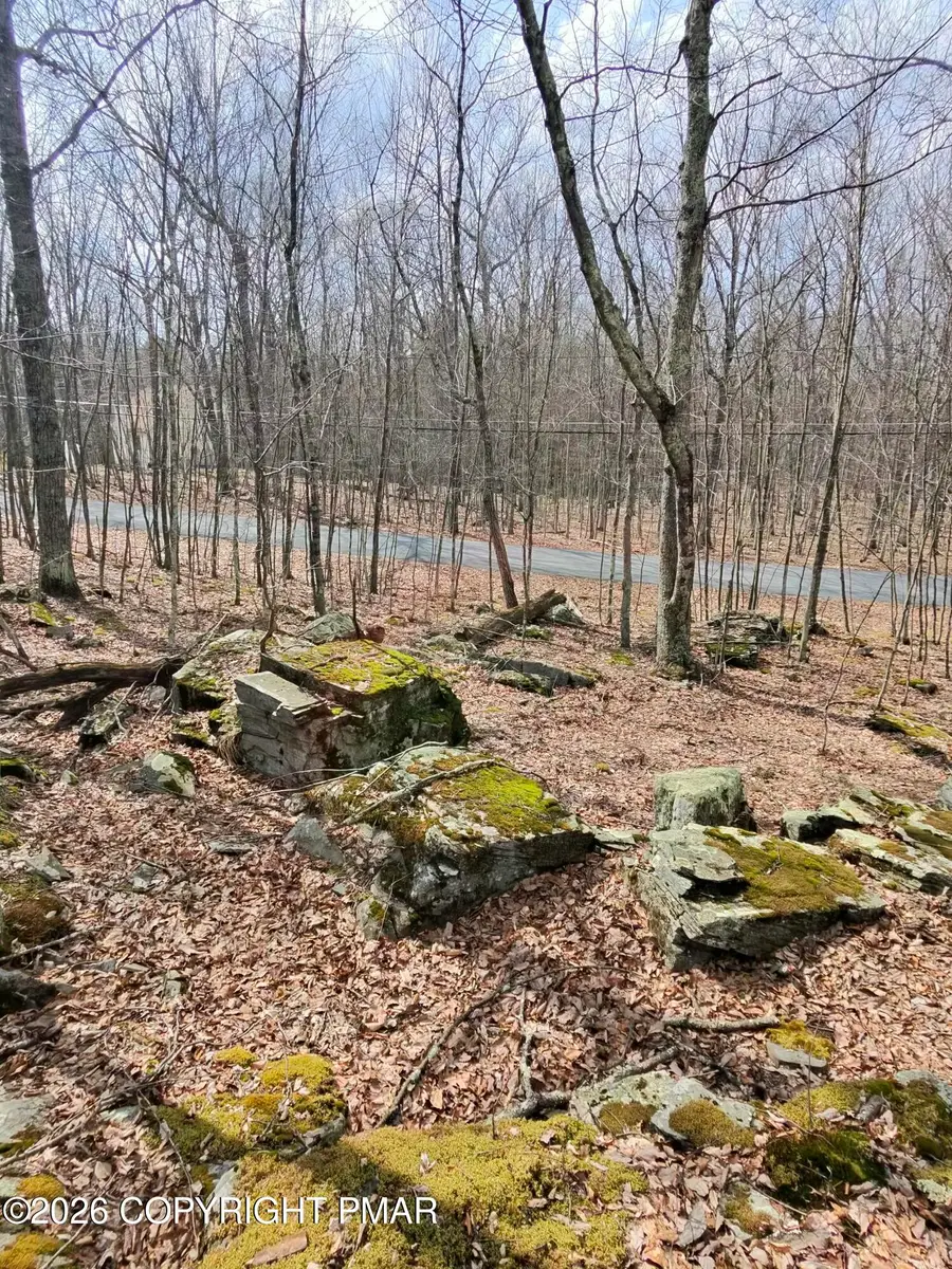 Ledge View Drive, Hawley, PA 18428 - #2