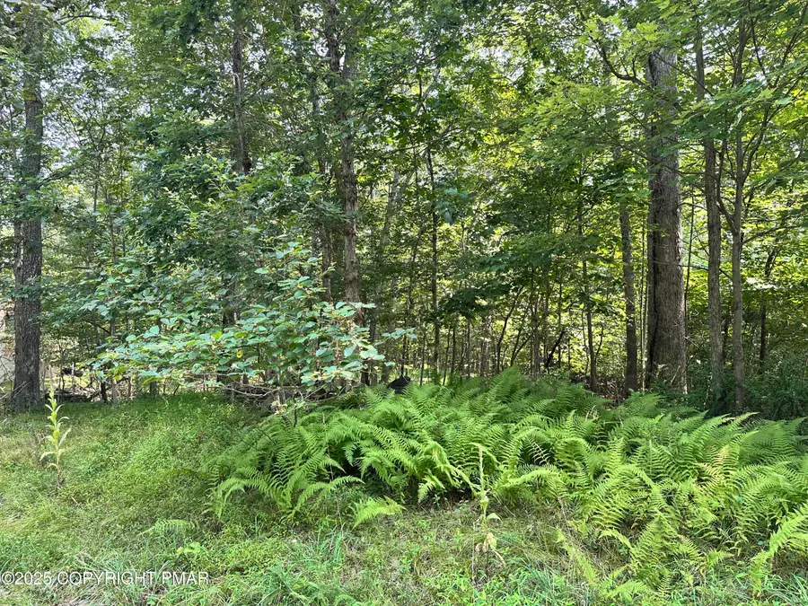 Timber Hill Rd 2b, Henryville, PA 18332 - #3