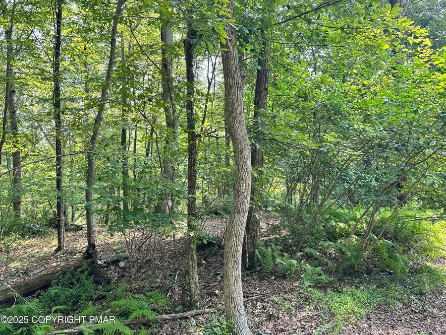 St Moritz Ct 4f, Henryville, PA 18332 - #3