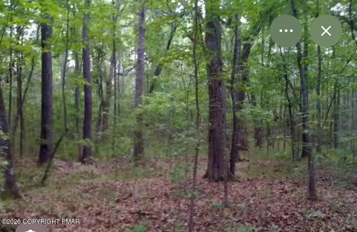 Lot 177 Blue Heron Court, Gouldsboro, PA 18424 - #1