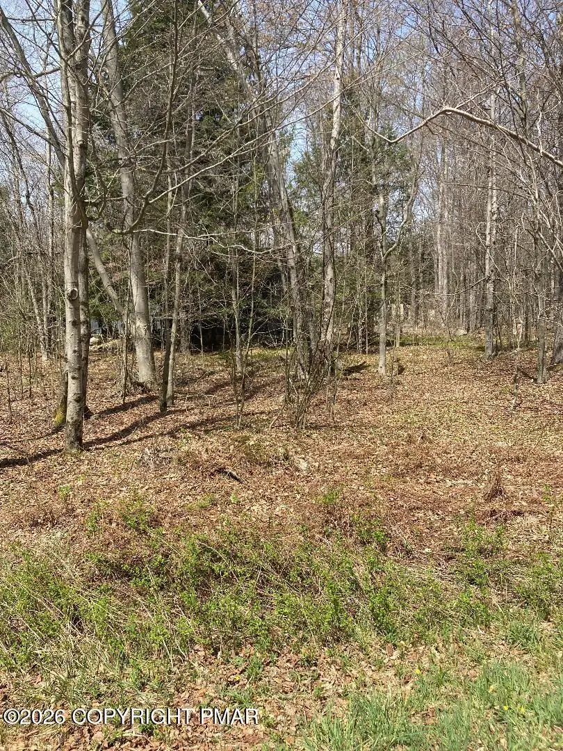 1413 Pine Cone Road, Pocono Pines, PA 18350 - #2