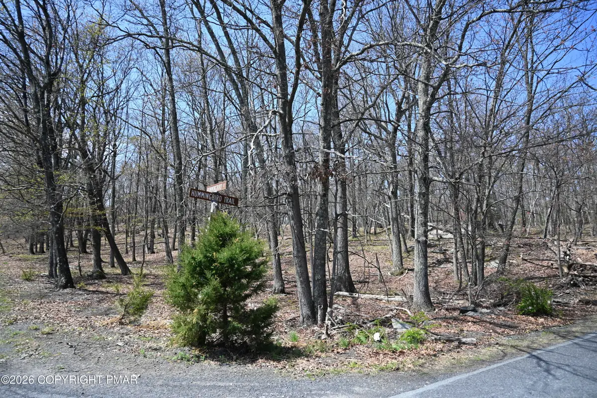 230 Hummingbird Court, Bushkill, PA 18324 - #1