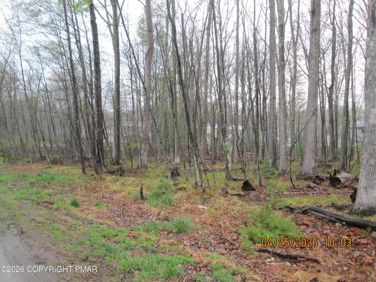 White Oak Dr 8, Tannersville, PA 18372 - #1