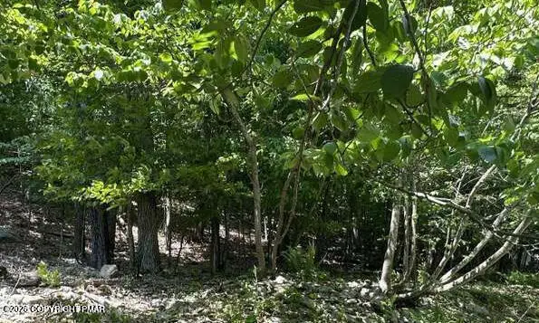 Lot 24 Green Meadow Drive, East Stroudsburg, PA 18302 - #3