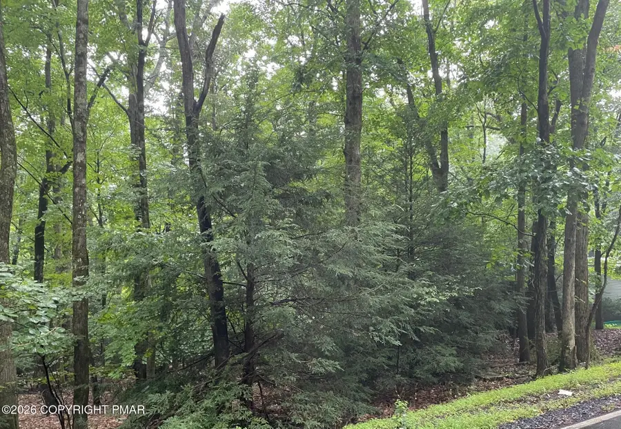 1313 Lenape Trail, Albrightsville, PA 18210 - #3