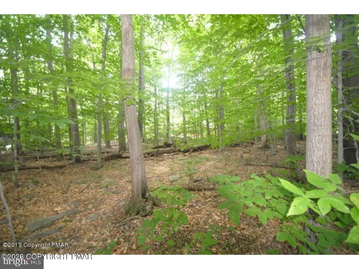 183 Sweet Briar Road, Pocono Pines, PA 18350 - #1