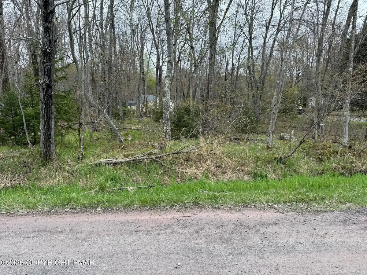 23 Tuscarora Dr 23 Drive, Pocono Lake, PA 18347 - #1