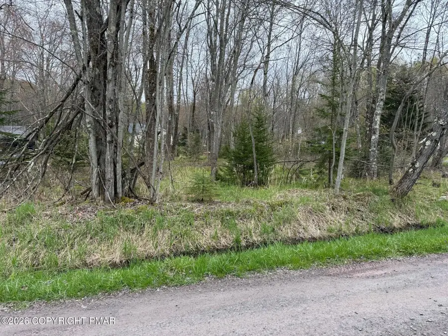 23 Tuscarora Dr 23 Drive, Pocono Lake, PA 18347 - #2