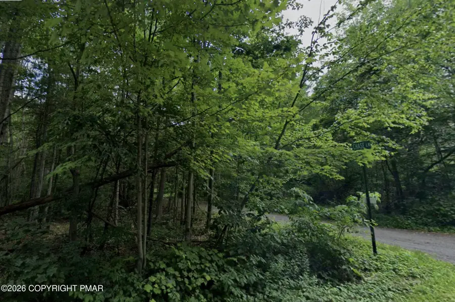 Oak Road, Drums, PA 18222 - #2