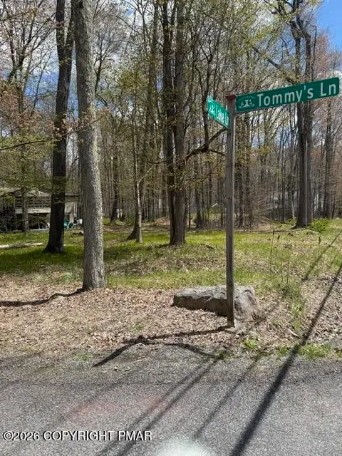 301 Tommys Lane, Pocono Lake, PA 18347