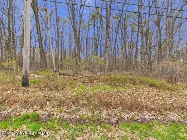 617 Berry Ln 617 Lane, Pocono Lake, PA 18347