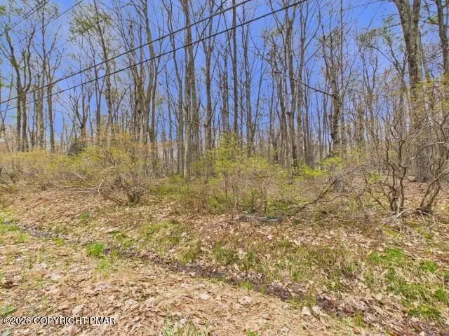 618 Berry Ln 618 Lane, Pocono Lake, PA 18347 - #1