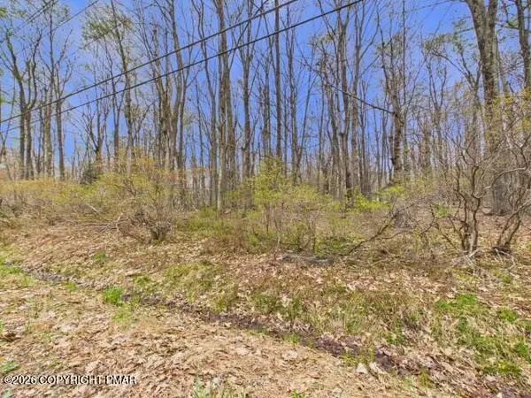 618 Berry Ln 618 Lane, Pocono Lake, PA 18347