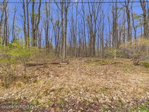 619 Berry Ln 619 Lane, Pocono Lake, PA 18347