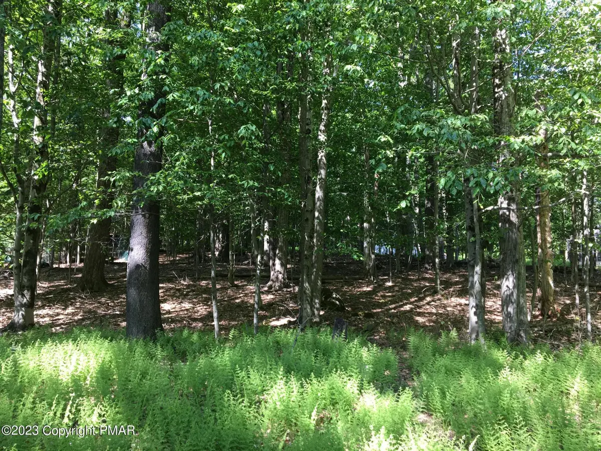 Lot 615 Locust Lane, Pocono Lake, PA 18347 - #1