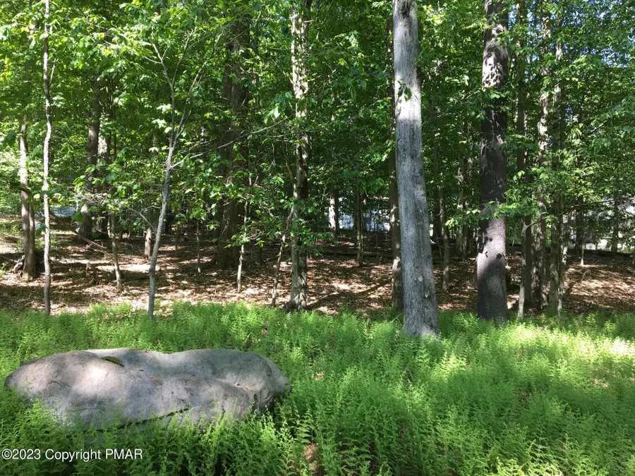 Lot 615 Locust Lane, Pocono Lake, PA 18347 - #2