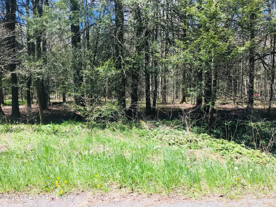 Lot 31 Route 423, Pocono Pines, PA 18350 - #2