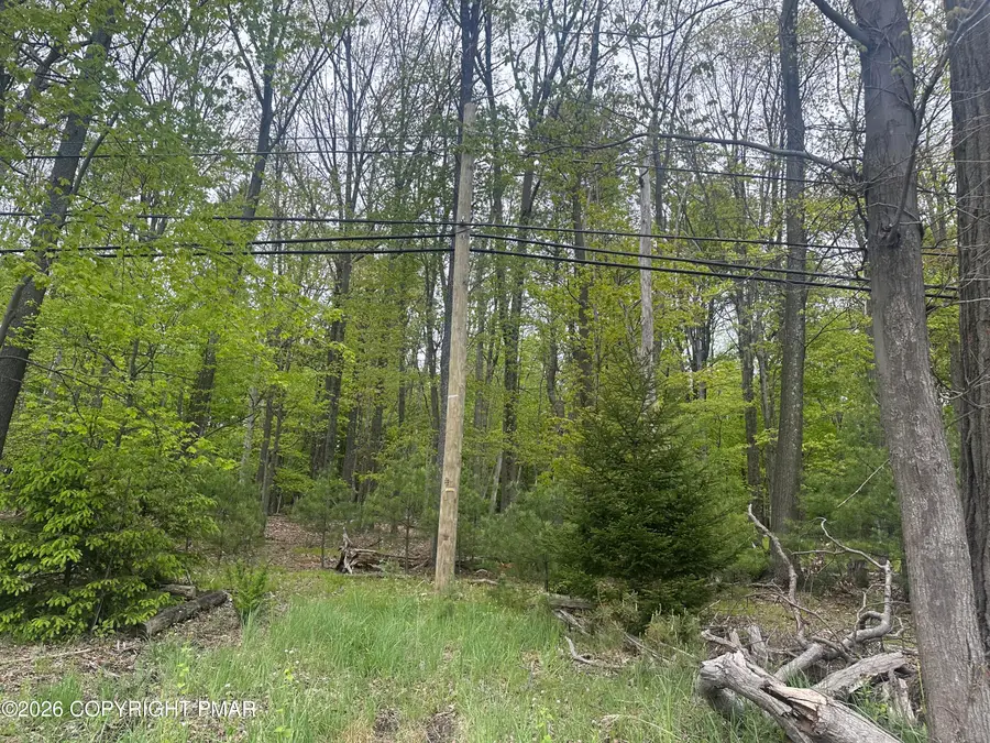 Us Rt 611 2, Swiftwater, PA 18370 - #2