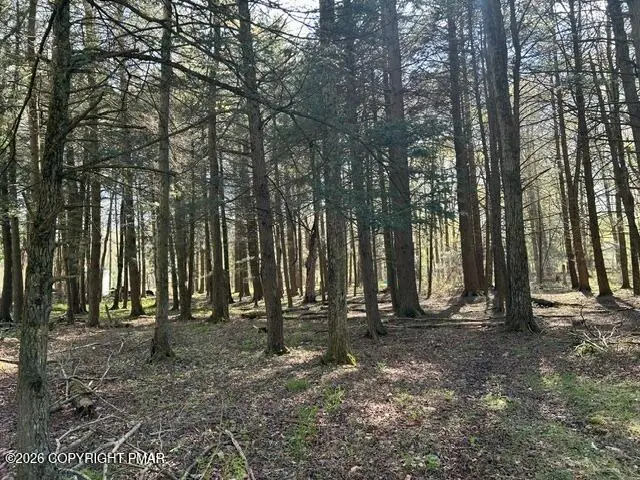 George Dr Drive, Pocono Lake, PA 18347 - #1