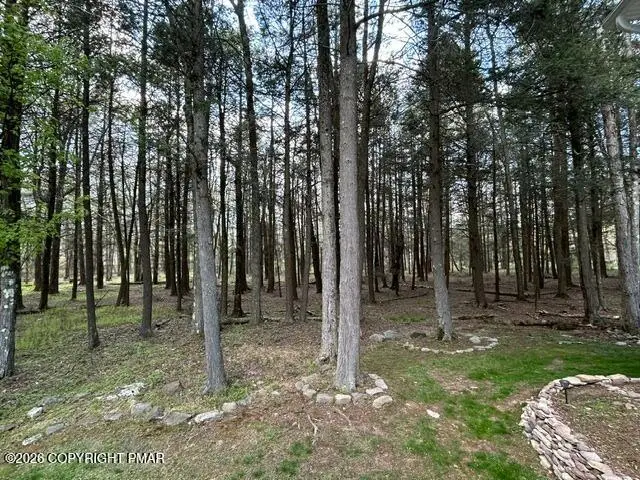 George Dr Drive, Pocono Lake, PA 18347 - #3