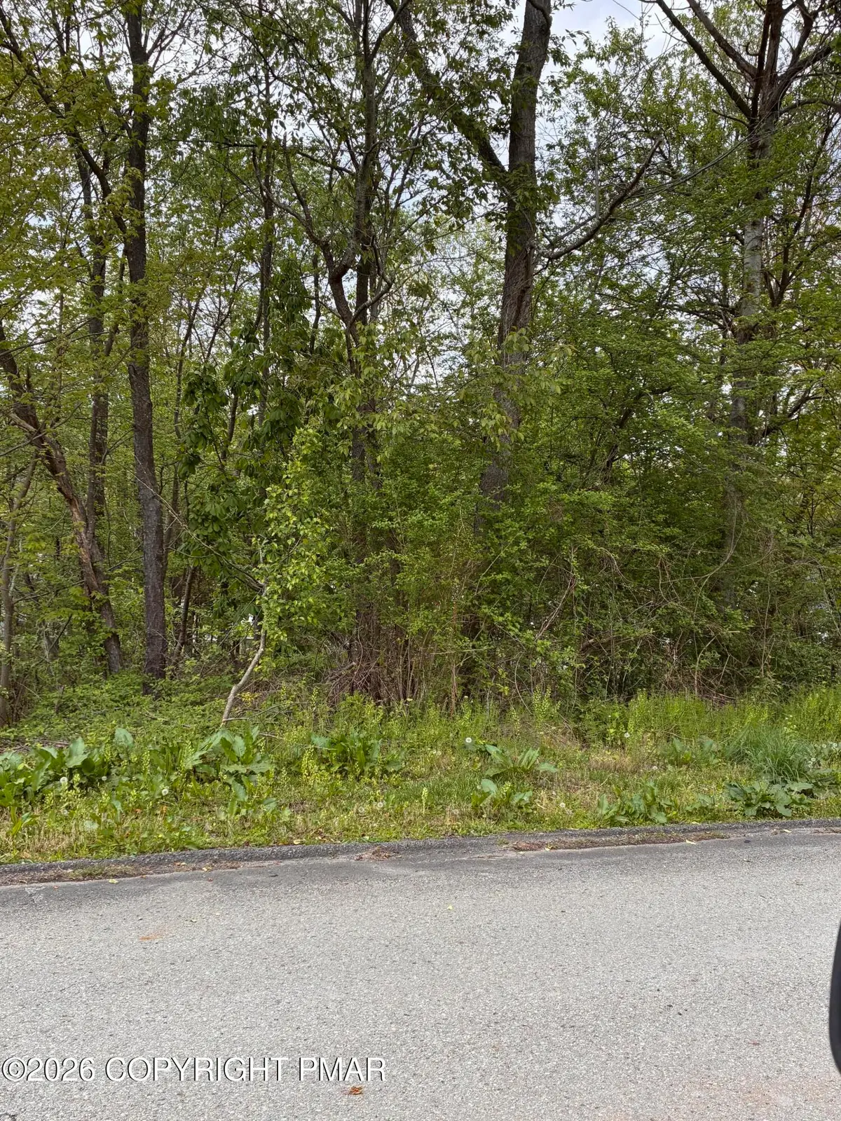 Park Street, Mayfield, PA 18433 - #1