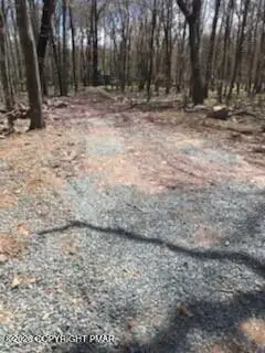 Cree Trail, Albrightsville, PA 18210 - #2