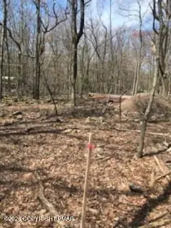 Cree Trail, Albrightsville, PA 18210 - #3
