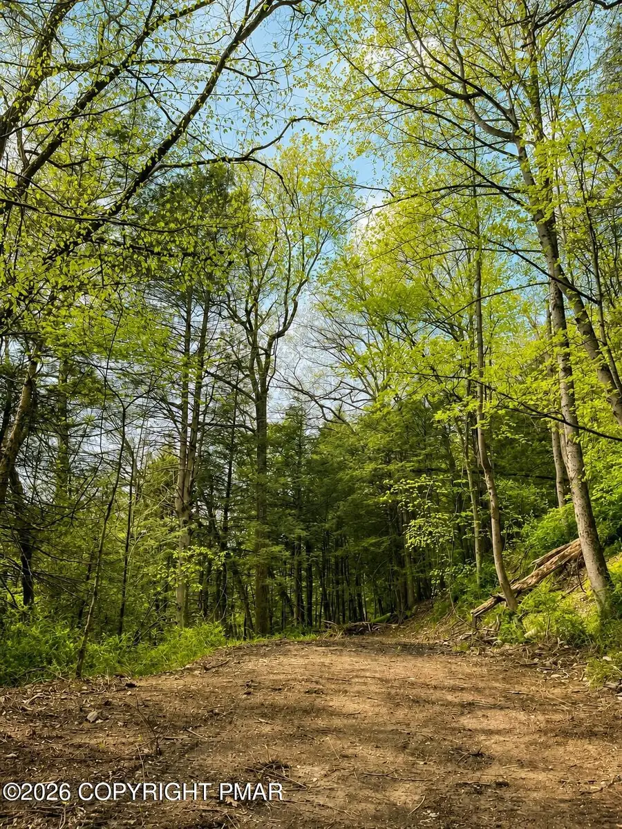 LR 45052 Lower Smith Gap Road, Kunkletown, PA 18058 - #2