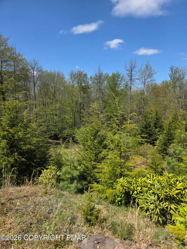 Hermit Thrush Rd Road, Pocono Pines, PA 18350