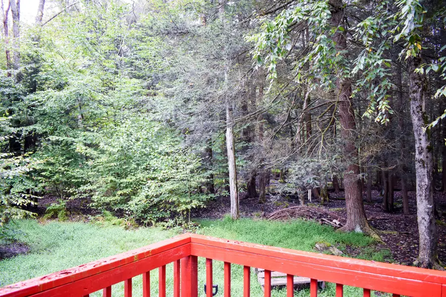 239 Maxatawny Drive, Pocono Lake, PA 18347 - #3