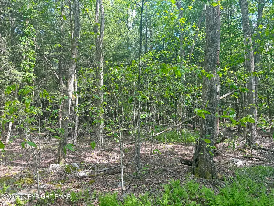 Lots 18-19 N North Estates Dr Drive, Pocono Summit, PA 18346 - #3