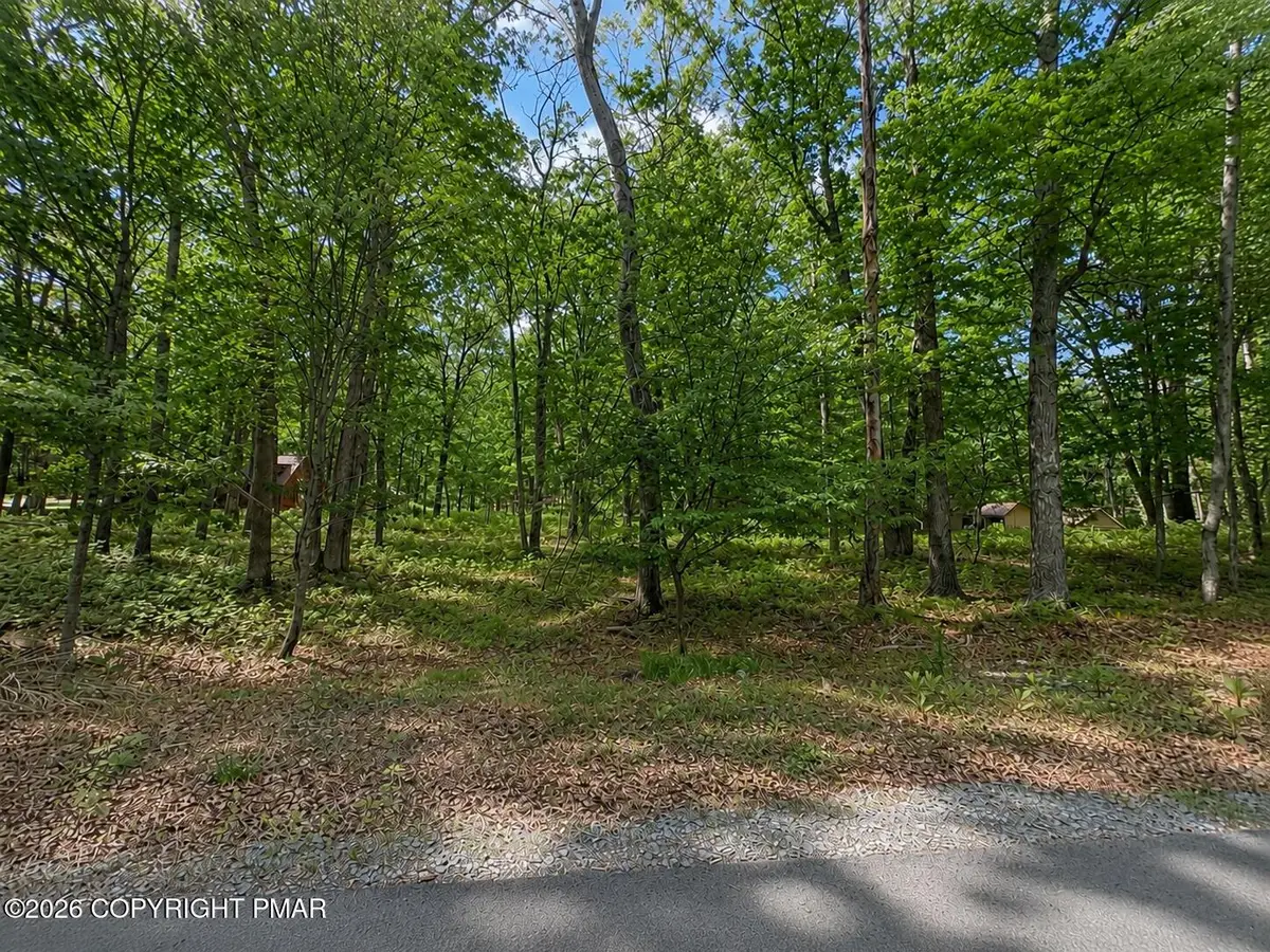 Dogwood Ln 925, Canadensis, PA 18325 - #1