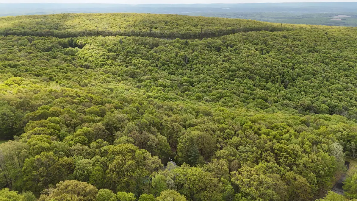 Arciel Drive, Albrightsville, PA 18210 - #1