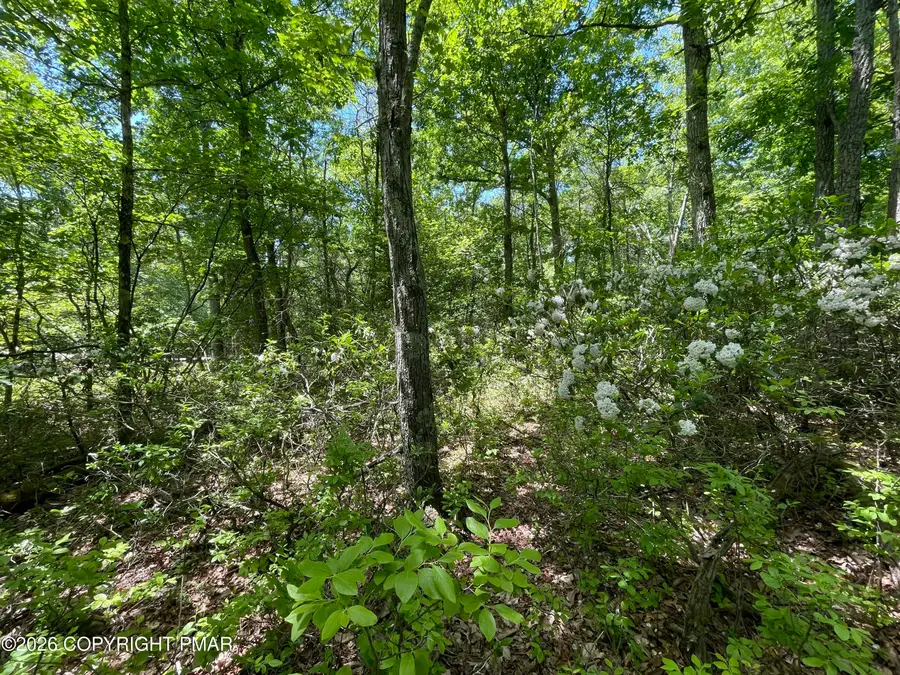 Aspen Ct 808 Court, Cresco, PA 18326 - #3