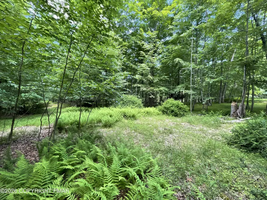196 Stony Run Drive, Cresco, PA 18326 - #3