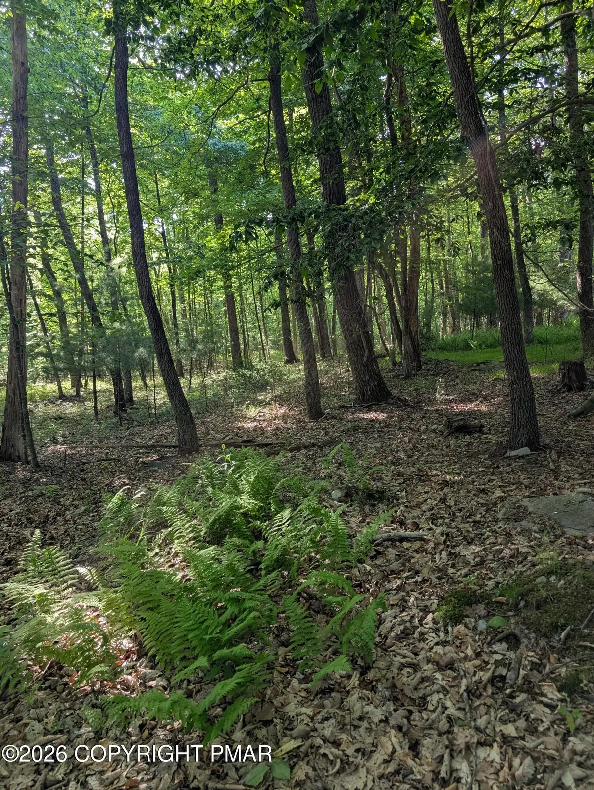 Acorn Ln/meadow Ridge Acres Road, Milford, PA 18337 - #1