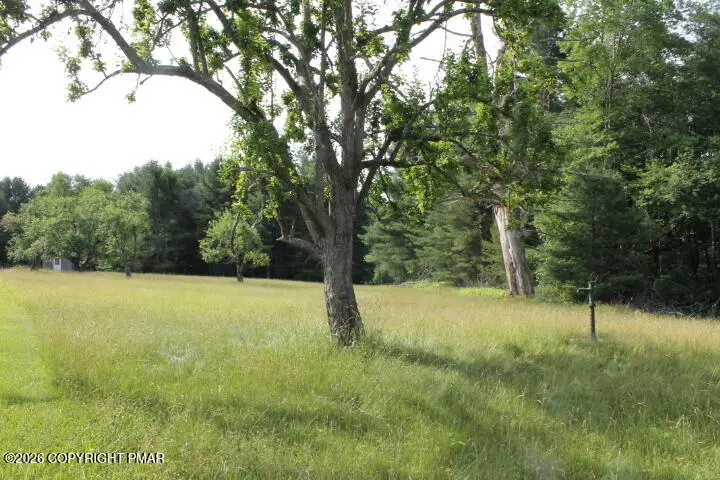 Sassafrass Hill Road, Thornhurst, PA 18424 - #2