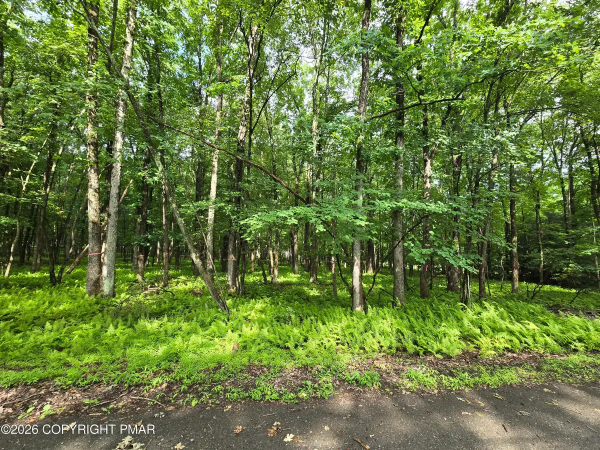 44 Poe Circle, Albrightsville, PA 18210 - #1