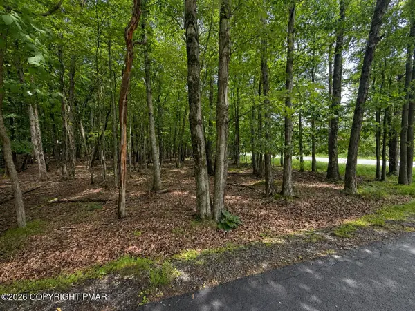 Tower Rd Lot 401, Albrightsville, PA 18210