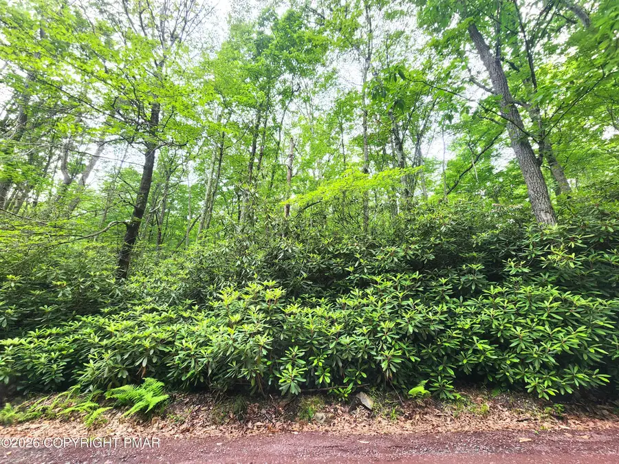 Lot A48 Rhododendron Road, Jim Thorpe, PA 18229 - #2